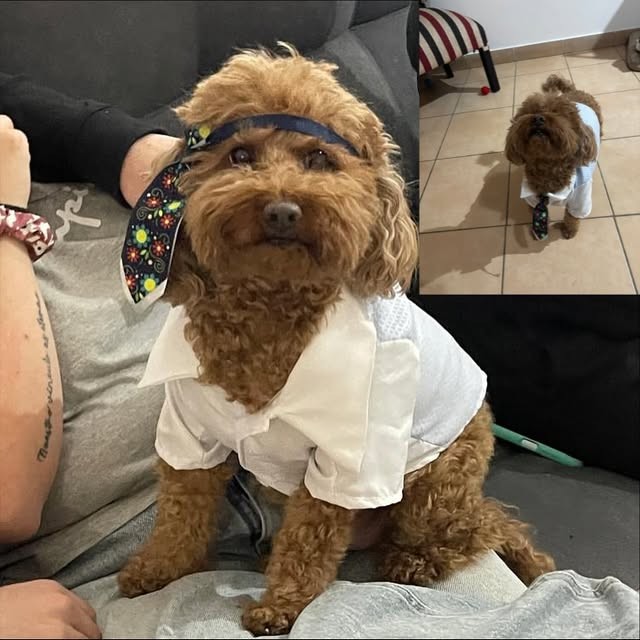 Anthony con camisa blanca y la corbata atada en la cabeza